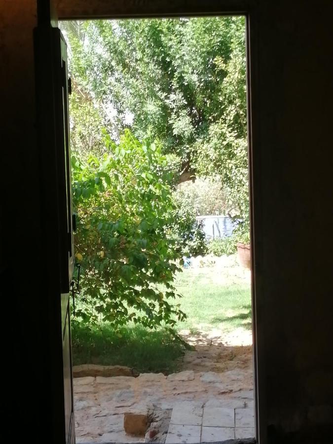 Studio In Byoum By Qaroun Lake In Fayoum Qaryat at Ta'mir as Siyahiyah Buitenkant foto
